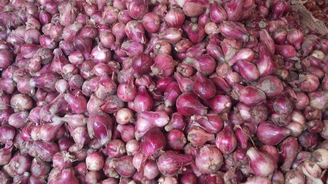 bangladeshi onion price hiked