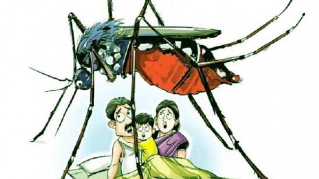 dengue 1