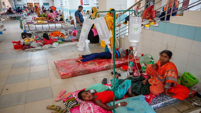 dengue patiant in hospital