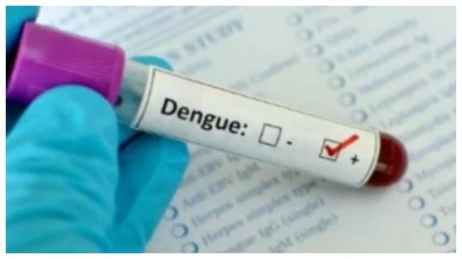 dengue test 2