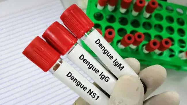 dengue test 3