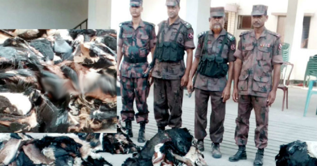 goat leather recovered from bangladesh india border