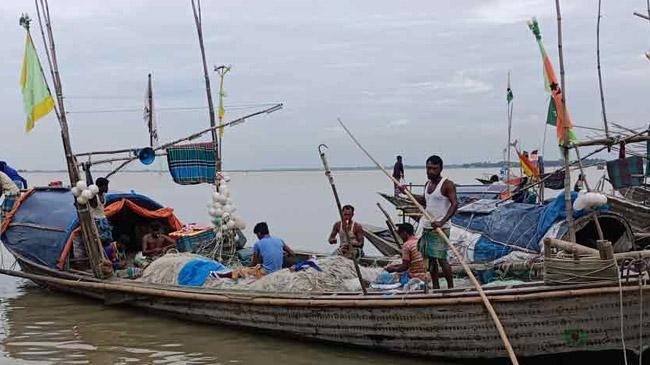 hilsha fish fishermen ready