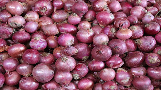 indian onion