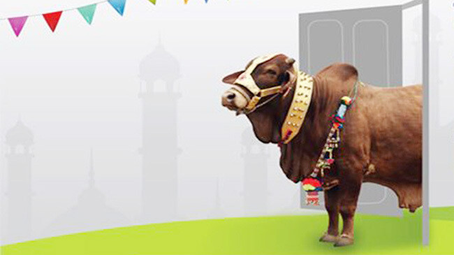 online cow bazar