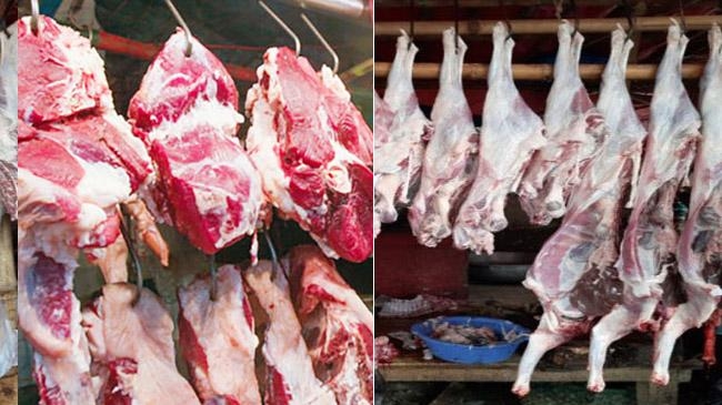 sylhet meat cow goat