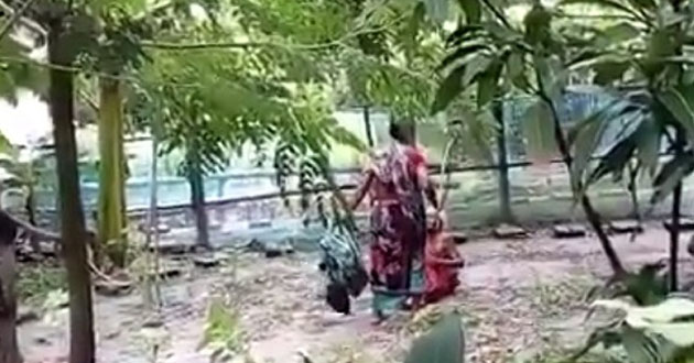 violence of old woman video son and wife detained