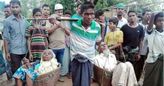 young rohingya carry his parents