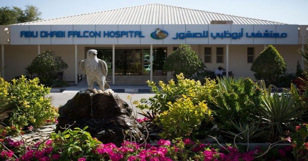 falcon hospital