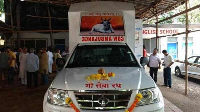 india cow ambulance service