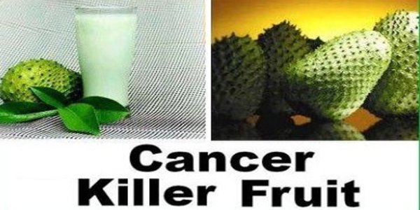 cancer killer fruit