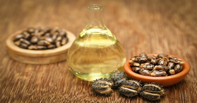 castor oil tips