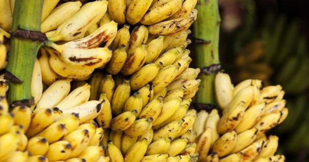 find out formalin banana
