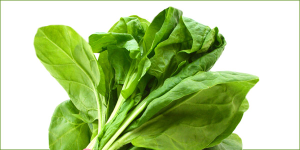 spinach to control weight