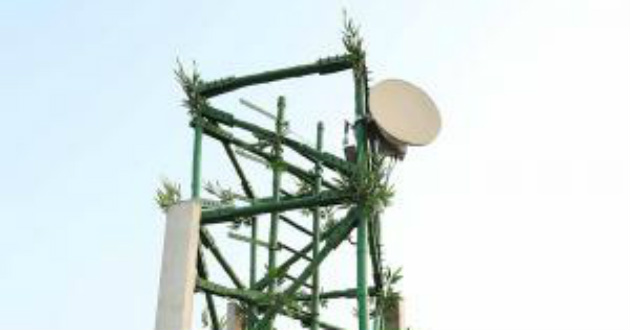 bamboo is being used for creating mobile tower