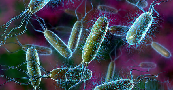 smartphones will be charge bacteria