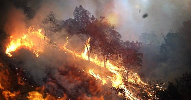 CALIFORNIA WILDFIRE
