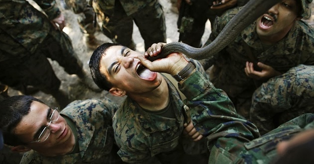 US Thailand soldier Drinking snake blood