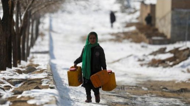 afgan cold
