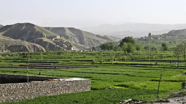 afghanistan field