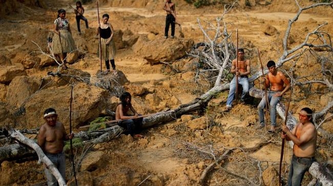 brazil amazon deforestation