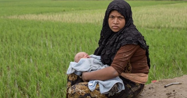 child born of rohinga