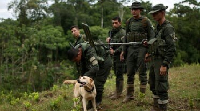 deadly rebel clashes kill 18 in colombia