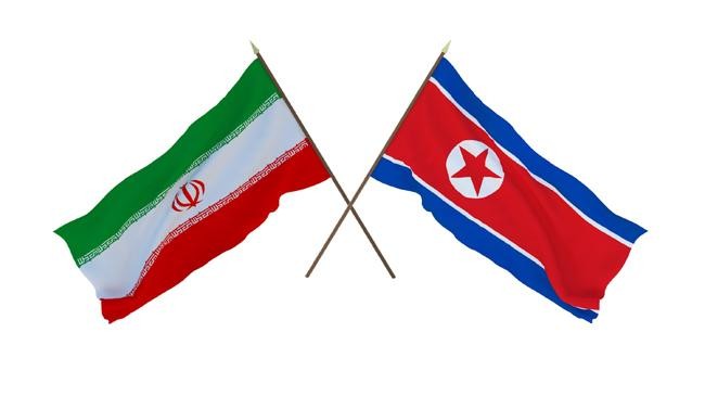 flag iran and north korea