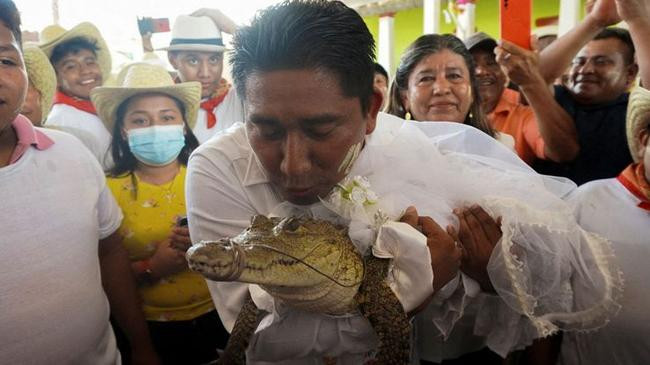mexico mayor wedding crocodile
