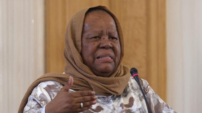 south africa s foreign minister naledi pandor