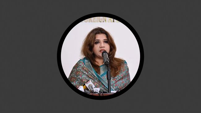 পররাষ্ট্র মন্ত্রণালয়ে কেন দুজন প্রতিমন্ত্রী? কারণ জানালেন শামা ওবায়েদ