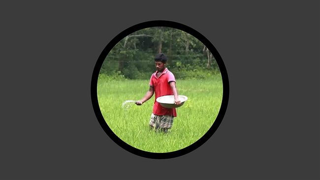 ‘পর্যাপ্ত’ মজুতের পরও যে কারণে সার সংকট