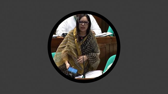 রুমিন ফারহানা: সংসদে অকথ্য ভাষায় গালিগালাজ করা হয়েছে