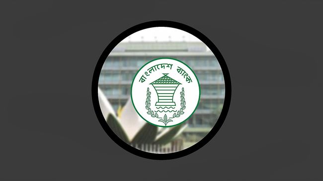 সাইবার ঝুঁকি কাটিয়ে সচল বাংলাদেশ ব্যাংকের ওয়েবসাইট