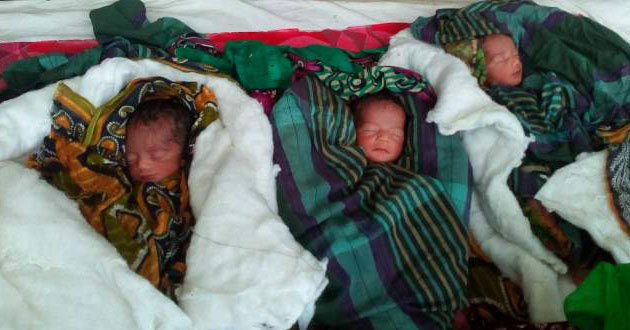 3 baby and 4 baby