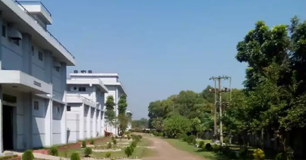 Pabna bera