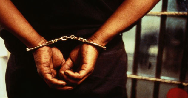 Sibir activist arrested