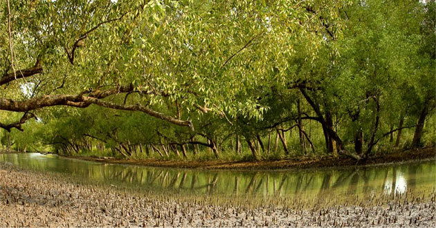 Sundarban