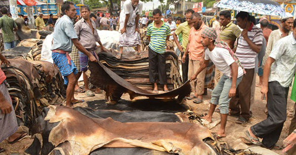 Tannery Industry