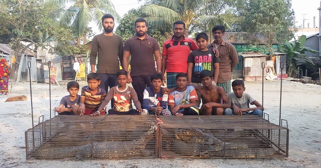 Water Monitor Lizard rescued wccu bd