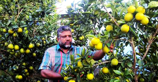 abdul karim malta sylhet