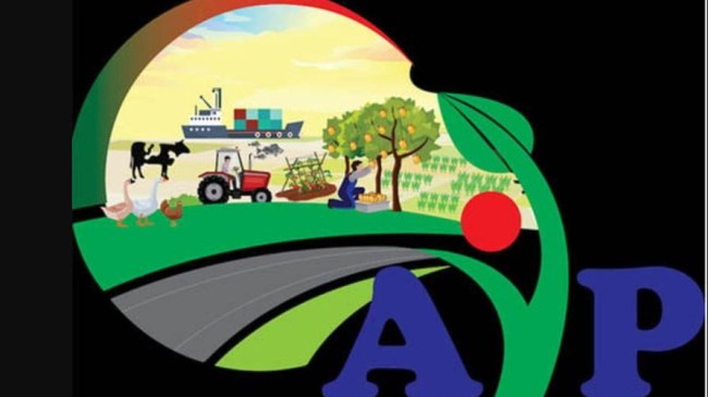 aip prize