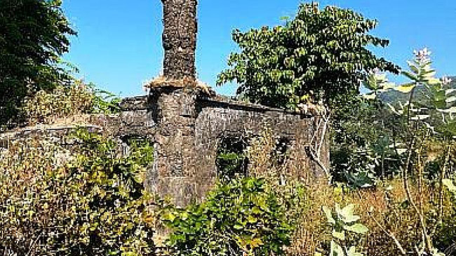 ancient mosque in forest 1