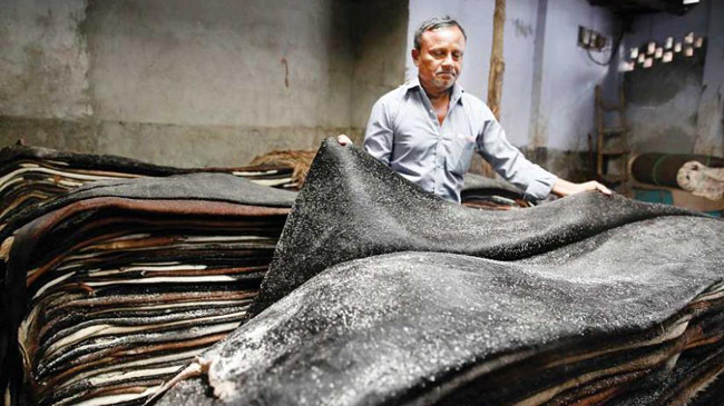 animal skin price