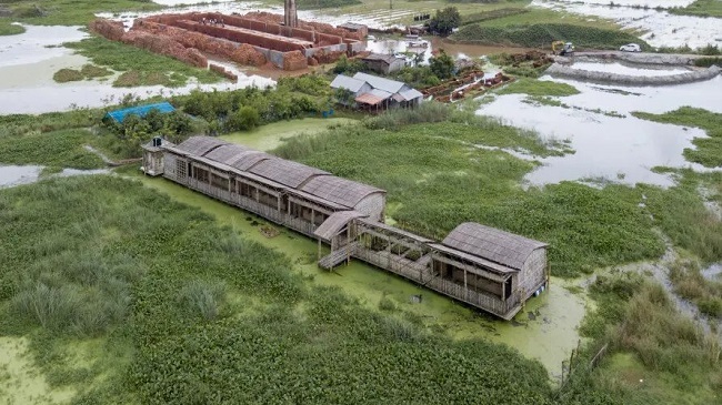 arcadia education project