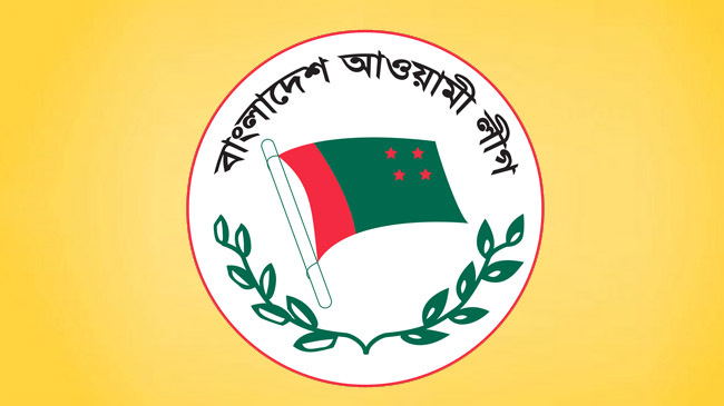 awami league flag 20