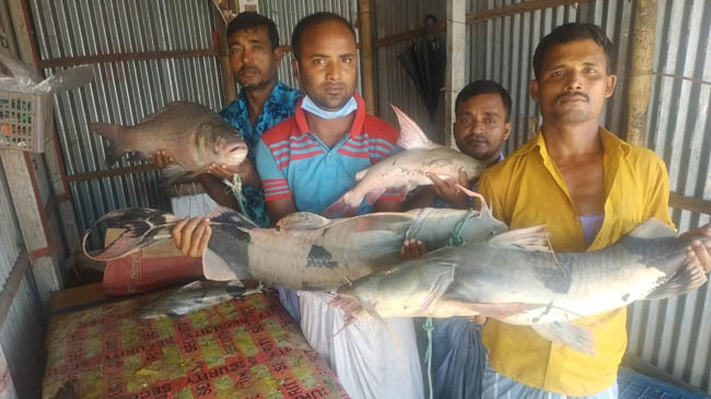 baghair caught in padma 2