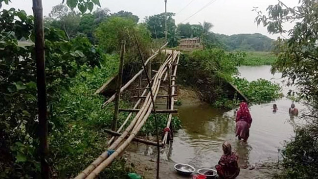 bambo bridge munshiganj