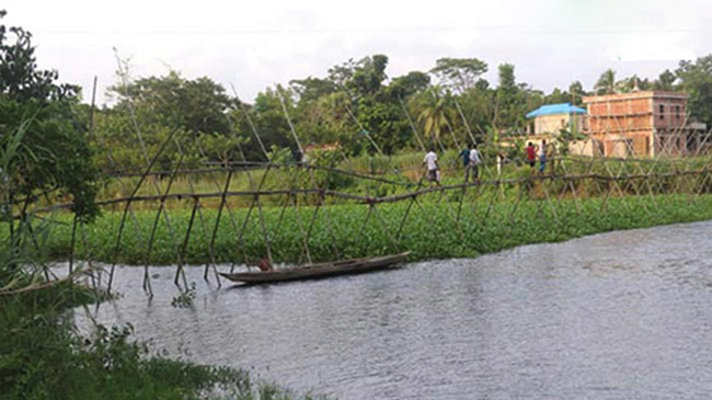 bamboo bridge