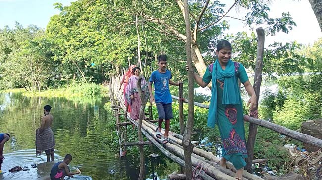 bamboo bridge 1